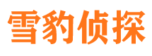 迭部市侦探调查公司